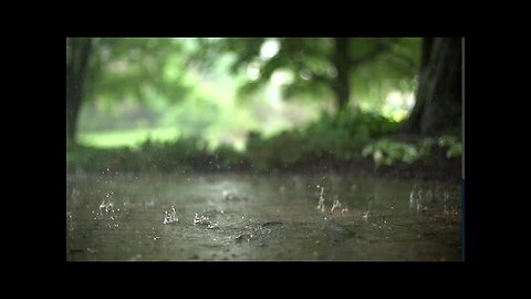 [Slow Motion] Rain Stock Footage |