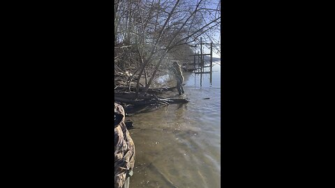 Beaver trapping in West Virginia