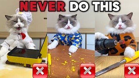 🚫🐾 Puff's Guide Life Hacks You Should NEVER Try! 🛑✨