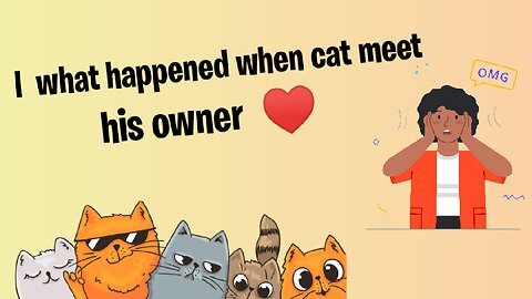 What happened when cat meet his owner 🙂