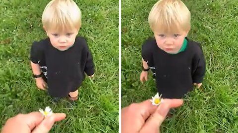 Kid Picks And Gifts Dandelion For The Sweetest Reason Ever