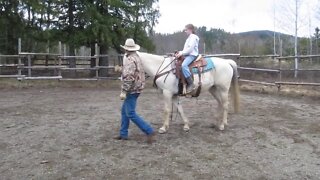 Maggie's First Horse Riding Lesson