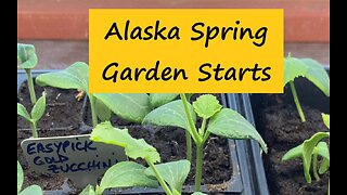Alaska Spring Garden Starts