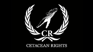 Declaration of 'Cetacean Rights' Dolphins and whales