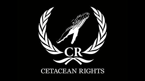 Declaration of 'Cetacean Rights' Dolphins and whales