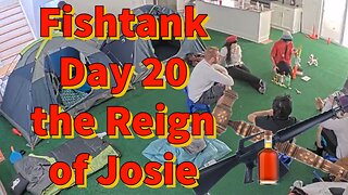 Fishtank Day 20 the Reign of Josie