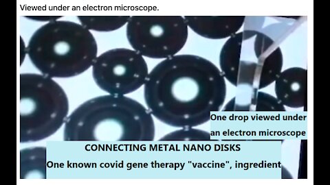 Part 2/4 - Whats Really in the Vaccine? Karen Kingston reveals US PATENTS