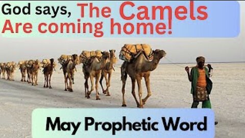 God says, “The Camels Are Coming Home