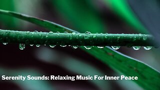 "Rainy Serenity: A Relaxing Music Journey"