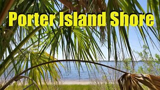 Porter Island Shore through a palm tree