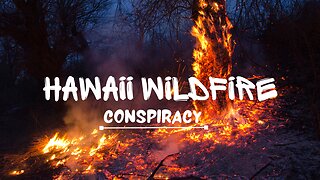 Collective Minds | Hawaii Wildfire Conspiracy