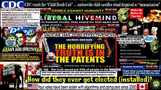SGT REPORT -THE HORRIFYING TRUTH IS IN THE PATENTS -- Lisa McGee & Diane Kazer
