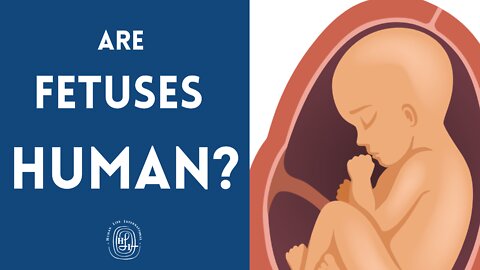 Are Fetuses Human?