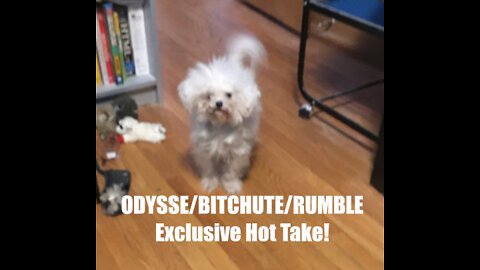 Rumble/Odysee/Bitchute Exclusive Hot Take: Oct 16th 2022 News Blast!