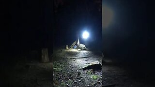 Setting up the lightweight tent inthe woods. nightlapse GoPro 2022