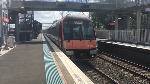 NSW trains vlogs 17 minto