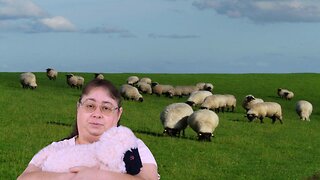 Where's My Sheep? - Children's Message 3/27/22