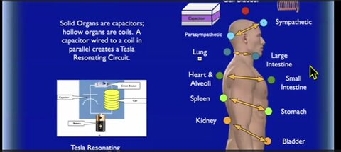 How to Reset Your Cellular Voltage So Your Body Can Heal – Healing is Voltage – Dr. Jerry Tennant