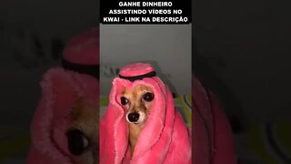 olha o nipe do doguinho😂😂😂