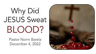 Why Did Jesus Sweat Blood?