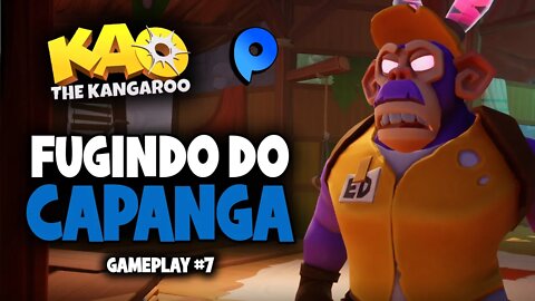 Kao the Kangaroo - Corredeira / Gameplay #7