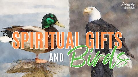 Devotional: How do you know your spiritual gifts from God?