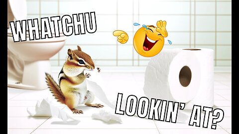 Funny Animals Chipmunk Eats Toilet Paper😅Doggo Licks the Ice Cream🍦and More