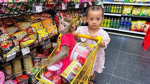 Monkey Kaka and Diem asking mom for money to buy yogurt is so cute