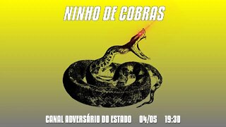 Ninho de Cobras - S1E2