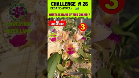 CHALLENGE # 25 |WHATS IS NAME OF THIS ORCHIDS?|YOU WANT TO LEARN? |# SHORT