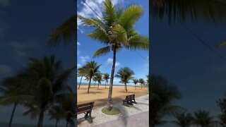 Ao Vivo - Praia da Costa