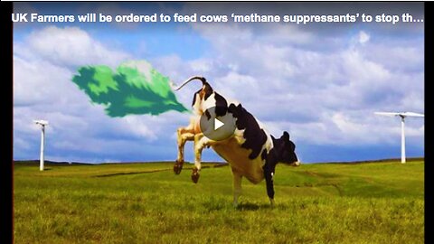 British government’s mandate for farmers to give their cows methane suppressants