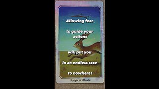 MEDITATION #running #fear #overcoming #faceyourself #awareness #tarot #tarotary #dailycard