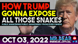 HOW TRUMP GONNA EXPOSE ALL THOSE SNAKES: PUBLIC AWAKENING! FROGS EVERYWHERE. THIS IS WHY WE FIGHT!