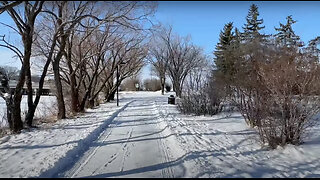 Walking in Regina, February 13, 2024: Along Wascana Creek in fresh snow