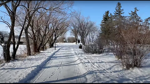 Walking in Regina, February 13, 2024: Along Wascana Creek in fresh snow