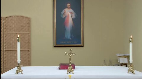 LIVE Daily Holy Mass with Fr. Frank Pavone
