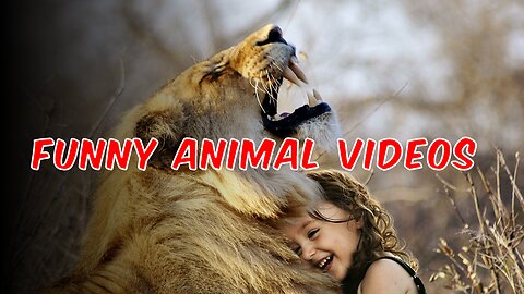 funny animal video