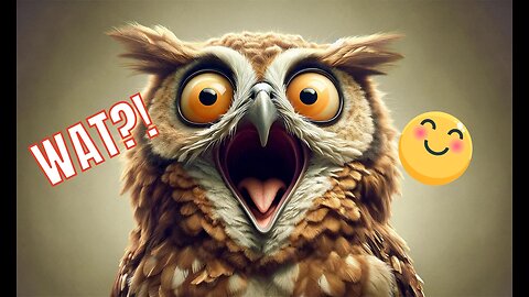 Best Funny Animals 🦉 Watch Laugh Relax🙂