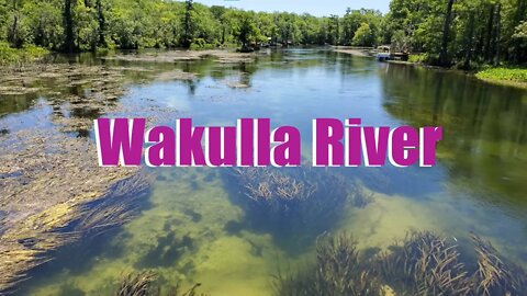 The Wakulla River