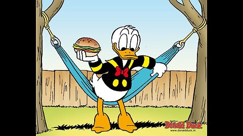 Donald duck cartoons video l