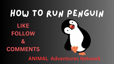 How To Run Penguin | Make Friend Easily