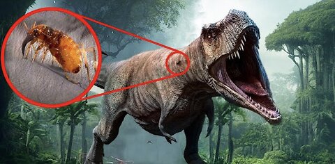 New Recent Discoveries About Dinosaurs