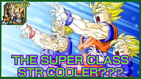 BASICALLY A BETTER STR COOLER!!!! | EZA LR TEQ GOHAN & GOTEN SHOWCASE | DBZ DOKKAN BATTLE #73