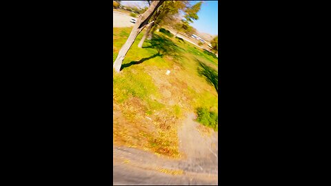 Watch What Happens When My Drone Gets Attacked By a Bush!