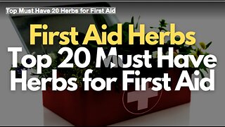 Top Must Have 20 Herbs for First Aid
