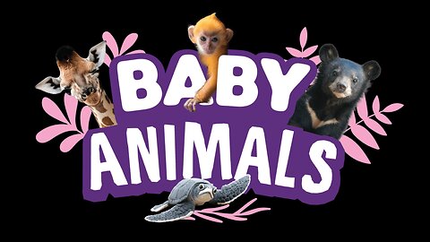 Disney Adventures present Cute Baby Animals Relaxation Film- 2023 ! Kids Disney Videos - 4k