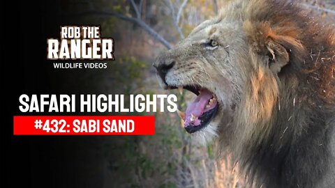 Safari Highlights #432: 04 - 06 September 2016 | Sabi Sand Wildtuin | Latest Wildlife Sightings