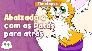 Um Coelhoposa de Meias [Timelapse]