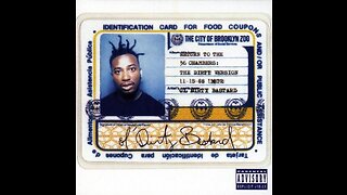 Ol' Dirty Bastard - Brooklyn Zoo